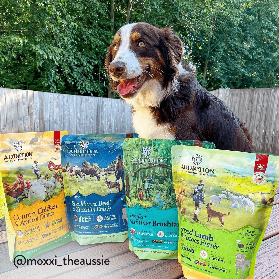 Steakhouse Beef & Zucchini Air-Dried Dog Food
