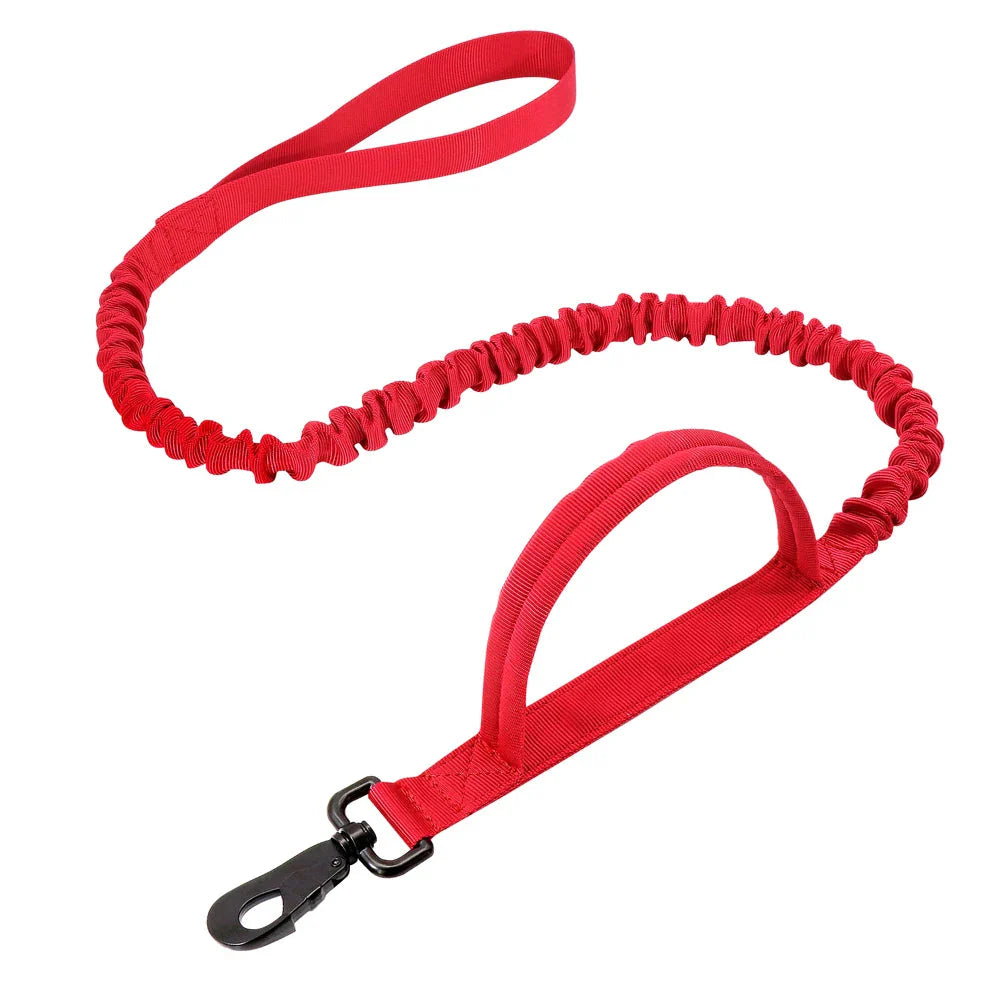 The Tactical Luxe Collar & Leash